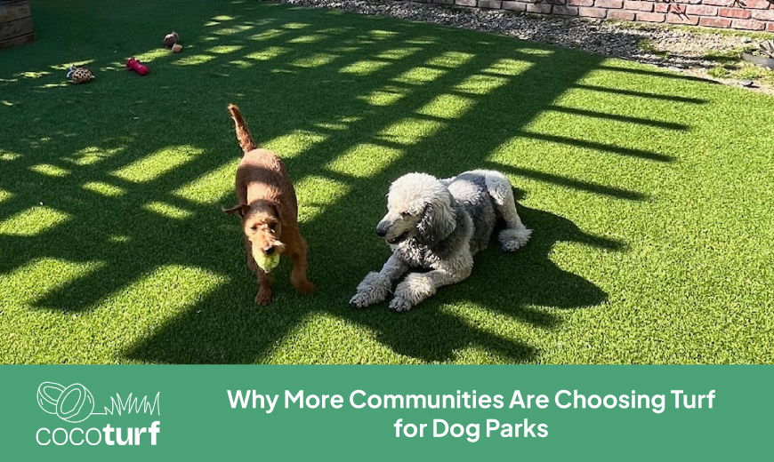 Why More Communities Are Choosing Turf for Dog Parks