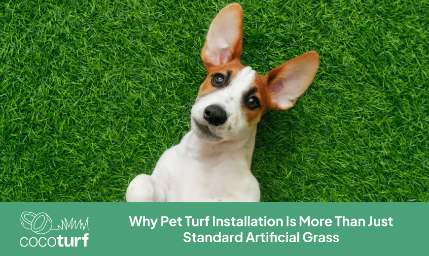 Why Pet Turf Installation Is More Than Just Standard Artificial Grass