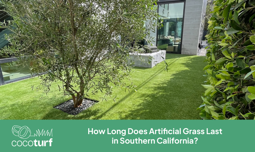 Artificial grass lawn around an olive tree beside a modern Southern California home